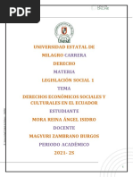 ENSAYO Los Derechos Económicos Sociales y Culturales en El Ecuador