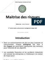 Maitrise Des Risques