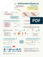 Biomecánica - Infografía