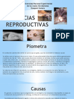 Urgencias Reproductivas