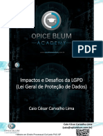 LGPD Plano de Ação