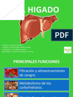 Fisiologia Del Higado