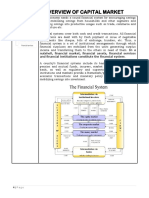 Unit 1: Overview of Capital Market