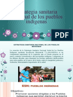 Estrategia Sanitaria Nacional de Pueblos Indigenas