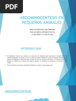 Abdominocentesis en Pequeños Animales