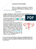 7° Básico Ciencias Naturales Menstruación