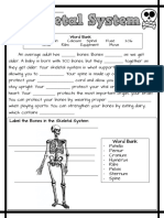 The Skeletal System Worksheet