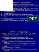 Software Testing