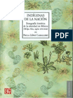 VII Indigenas de La Nación