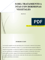 Practica8.ef. Hormonas Vegetales. Villar G.