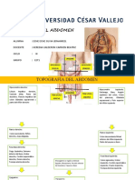 Trabajo Abdomen