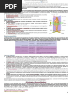 RESUMEN de Anatomia