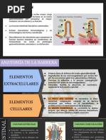 Barrera Intestinal
