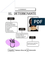 Determinantes 3ro