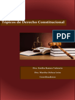 Tópicos de Derecho Constitucional 