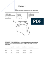 Human Speech Organs