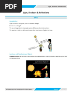 Chapter 11 Light PDF