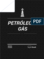 Petroleo e Gas