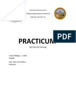 Practicum: (On-the-Job Training)