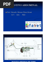 Anatomia Digestiva - Perro