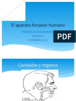 El Aparato Fonador Humano