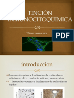 Tincion Inmunocitoquimica