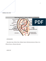 Auriculoterapia