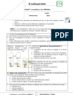 Prueba Las Plantas