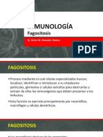 Clase 004a INMUNOLOGÍA Fagositosis Inflamacion