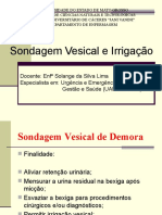 Aula de Sondagem Vesical e Irriga+º+Úo