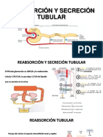 Reabsorción y Secreción Tubular