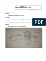 Laboratory Activity (Stems) Exercise 14-16