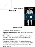 Physiology of Nervous System: Spinal Cord Brain