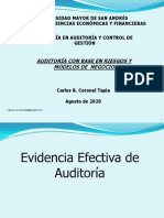 Aserciones, Evidencia y Procedimientos de Auditoria