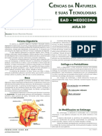 10-Sistema Digestório