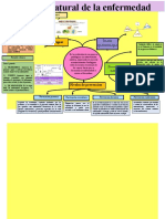 Historia Natural de La Enfermedad