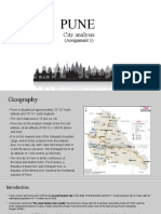 PUNE City Analysis