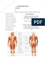 Test Study Guide - Muscles Major Muscles in Each Area of The Body