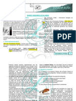 FSP r1-t12 Bases Genocitomoleculares