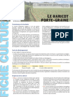 2021 05 Fiche Culturale Haricot 1