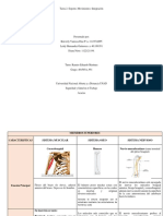 Tarea2 Grupal Morfofisiología