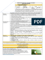 PROYECTO INTERDISCIPLINAR 1 Semana 2 Nivel 1 JANETH Del 28 de Junio A 2 de Julio