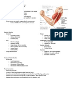 Muscles of The Head Neck and Trunk - Handouts