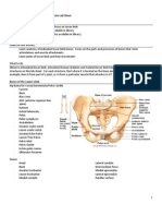 Lower Limb Lab Sheet