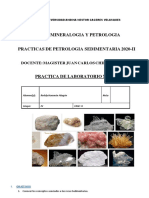 Practica Nro. 08 Rocas Sedimentarias 2020-I