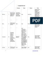 Cranial Nerves Anatomy Review Note