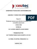 Tarea 5 1 Preoblemas Comunes Que Enfrenta Un Consultor en La Consultoria Empresarial