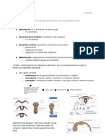 Patologias Neurodesarrollo