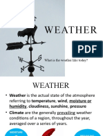 Weather: What Is The Weather Like Today?