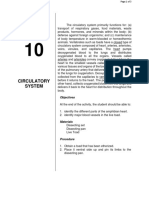 Activity 10 Circulatory System Discussion